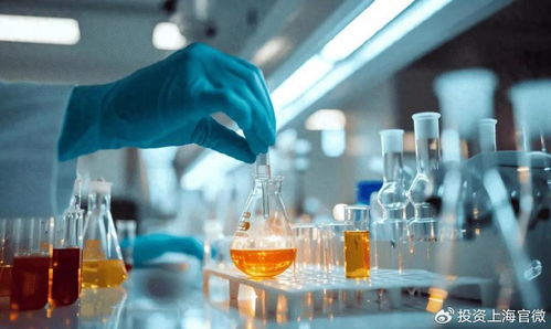 貝科在松江啟用全新研發(fā)中心，提升技術(shù)服務(wù)能力